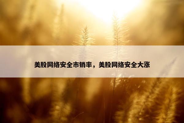 美股网络安全市销率，美股网络安全大涨