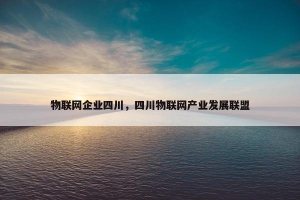 物联网企业四川，四川物联网产业发展联盟