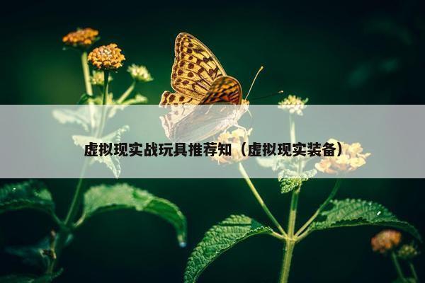 虚拟现实战玩具推荐知（虚拟现实装备）