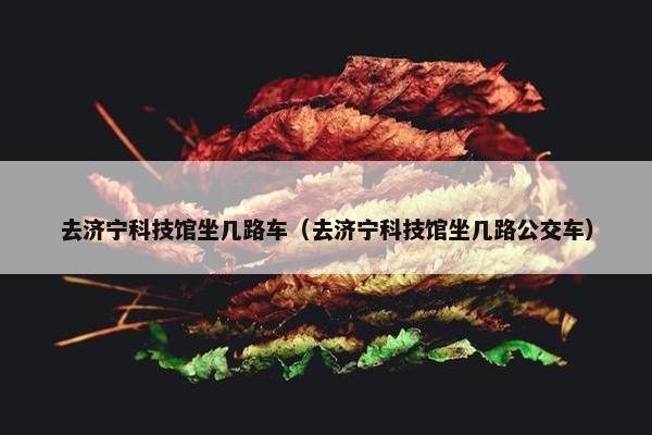 去济宁科技馆坐几路车（去济宁科技馆坐几路公交车）