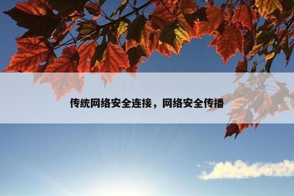 传统网络安全连接，网络安全传播