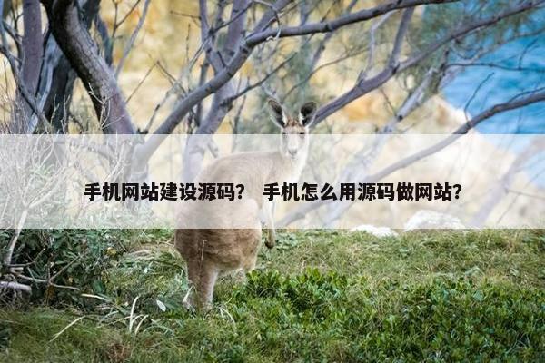 手机网站建设源码？ 手机怎么用源码做网站？