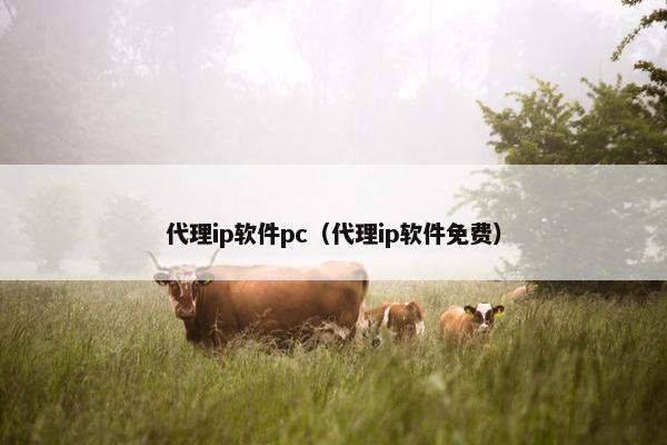 代理ip软件pc（代理ip软件免费）