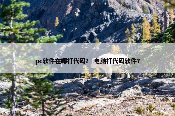 pc软件在哪打代码？ 电脑打代码软件？