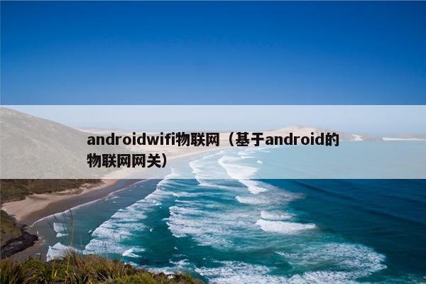 androidwifi物联网（基于android的物联网网关）