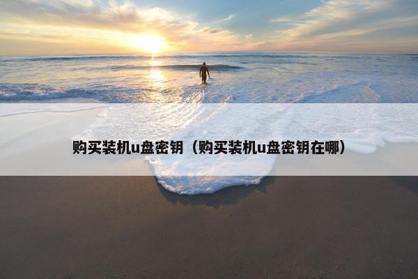 购买装机u盘密钥（购买装机u盘密钥在哪）