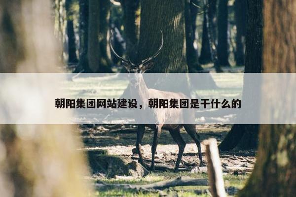 朝阳集团网站建设，朝阳集团是干什么的