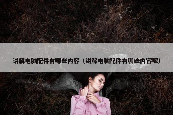 讲解电脑配件有哪些内容（讲解电脑配件有哪些内容呢）
