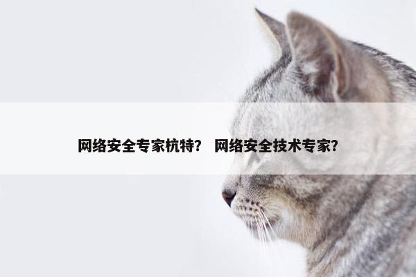 网络安全专家杭特？ 网络安全技术专家？