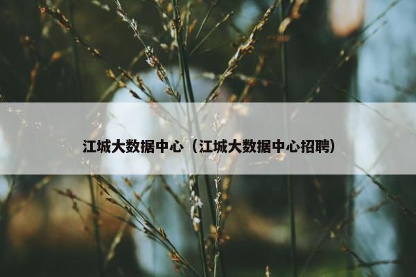 江城大数据中心（江城大数据中心招聘）