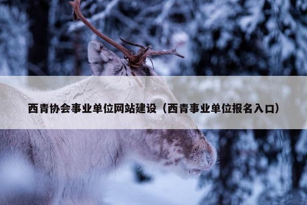 西青协会事业单位网站建设（西青事业单位报名入口）