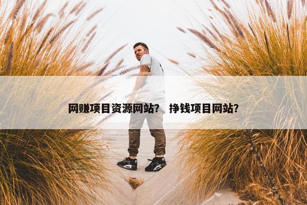 网赚项目资源网站？ 挣钱项目网站？