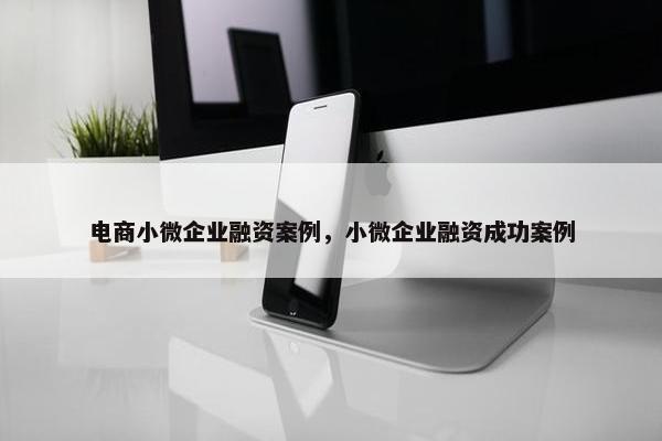 电商小微企业融资案例，小微企业融资成功案例