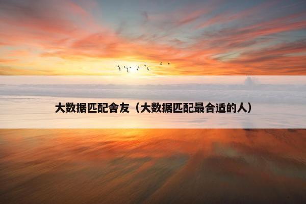 大数据匹配舍友（大数据匹配最合适的人）