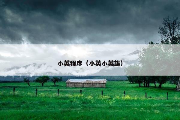 小英程序（小英小英雄）