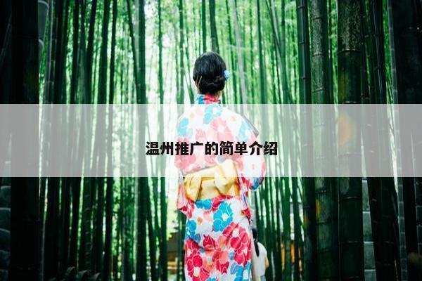 温州推广的简单介绍