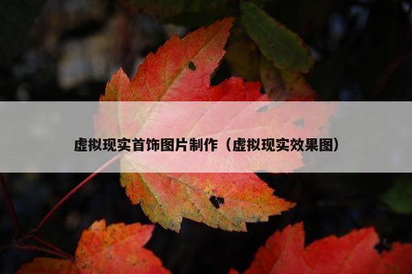 虚拟现实首饰图片制作（虚拟现实效果图）
