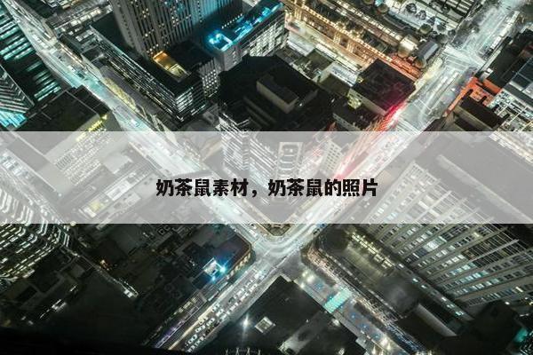 奶茶鼠素材，奶茶鼠的照片