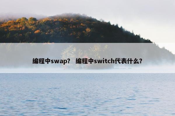 编程中swap？ 编程中switch代表什么？