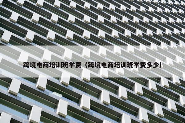 跨境电商培训班学费（跨境电商培训班学费多少）