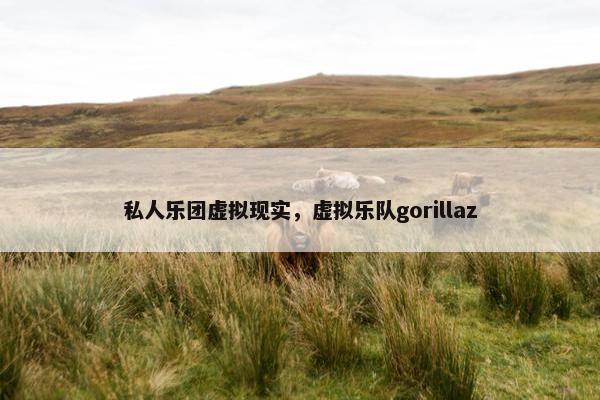 私人乐团虚拟现实，虚拟乐队gorillaz