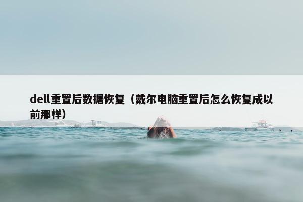 dell重置后数据恢复（戴尔电脑重置后怎么恢复成以前那样）