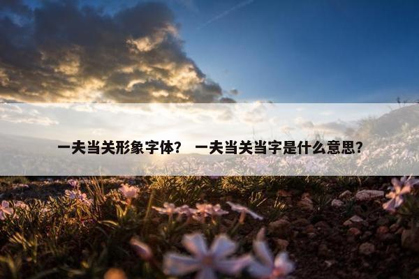一夫当关形象字体？ 一夫当关当字是什么意思？