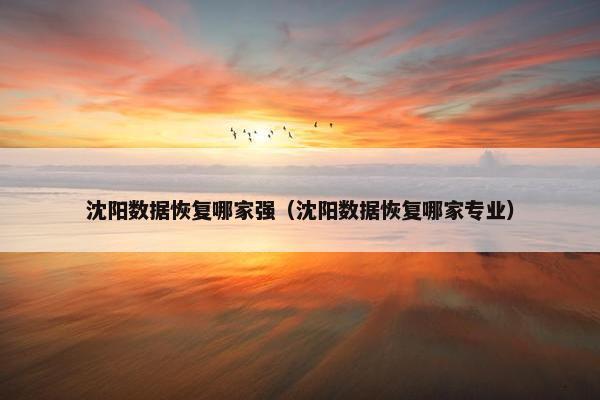 沈阳数据恢复哪家强（沈阳数据恢复哪家专业）