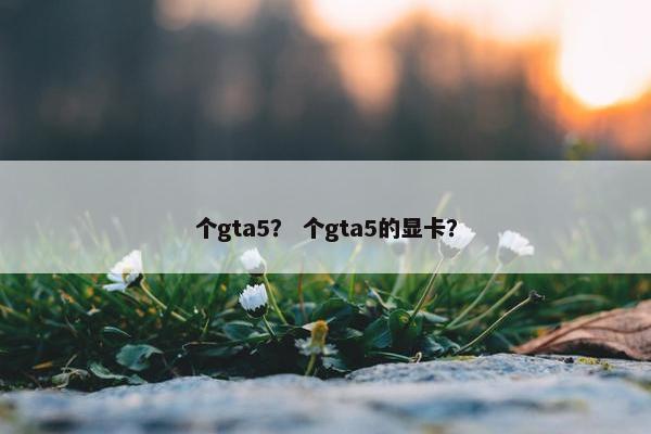 个gta5？ 个gta5的显卡？