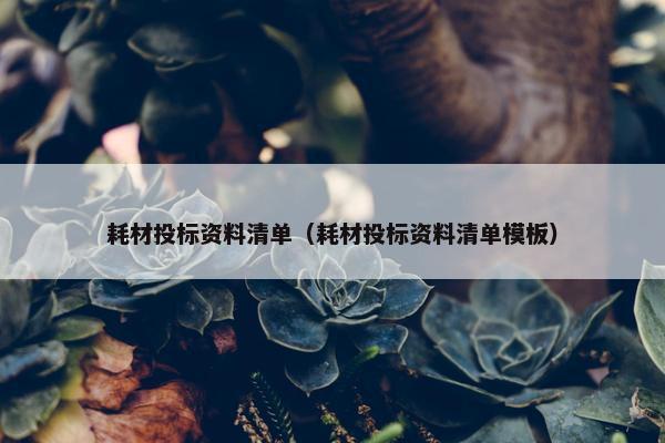 耗材投标资料清单（耗材投标资料清单模板）