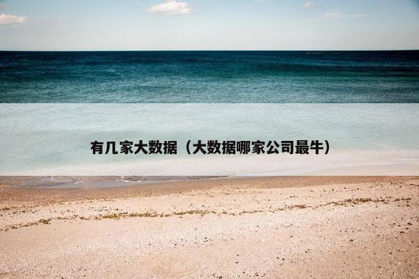 有几家大数据（大数据哪家公司最牛）