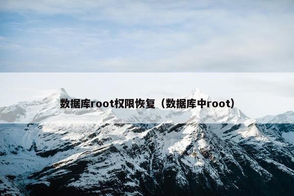 数据库root权限恢复（数据库中root）