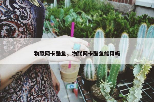 物联网卡酷鱼，物联网卡酷鱼能用吗