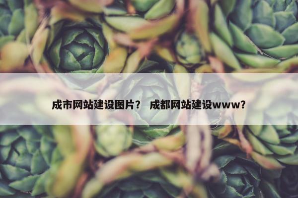 成市网站建设图片？ 成都网站建设www？