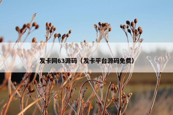 发卡网63源码（发卡平台源码免费）