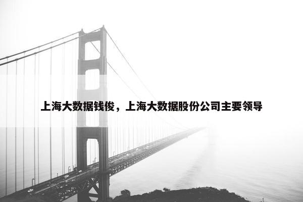 上海大数据钱俊，上海大数据股份公司主要领导