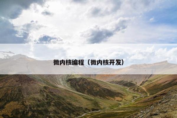 微内核编程（微内核开发）