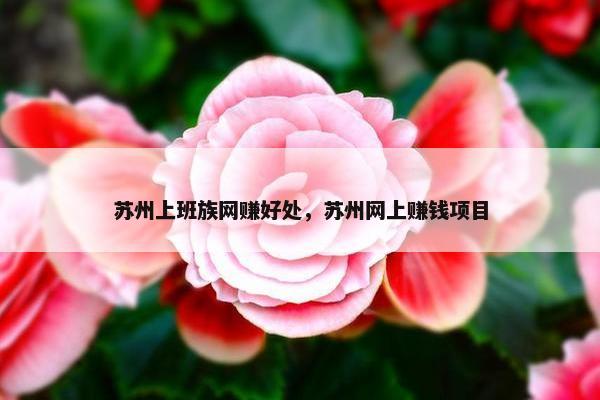 苏州上班族网赚好处，苏州网上赚钱项目
