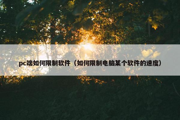 pc端如何限制软件（如何限制电脑某个软件的速度）