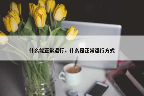 什么能正常运行，什么是正常运行方式