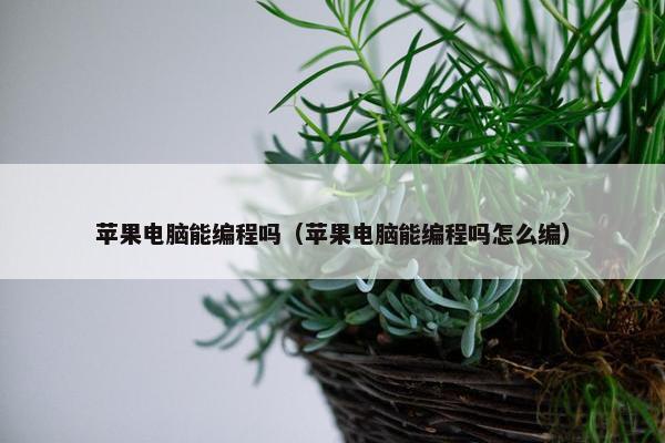 苹果电脑能编程吗（苹果电脑能编程吗怎么编）