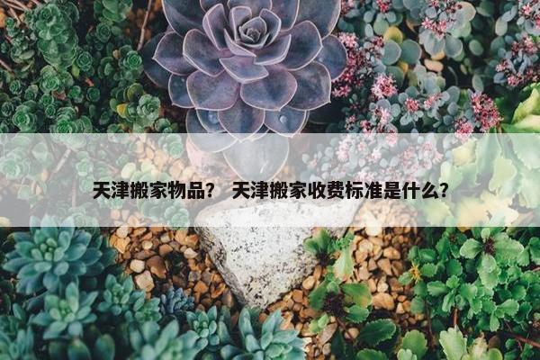 天津搬家物品？ 天津搬家收费标准是什么？