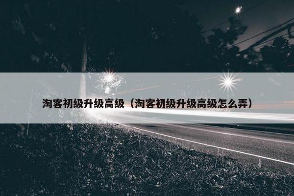 淘客初级升级高级（淘客初级升级高级怎么弄）