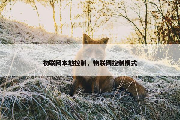 物联网本地控制，物联网控制模式