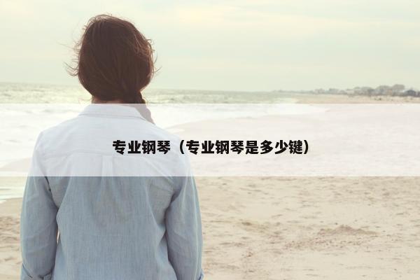 专业钢琴（专业钢琴是多少键）