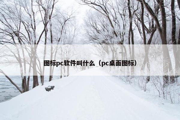 图标pc软件叫什么（pc桌面图标）