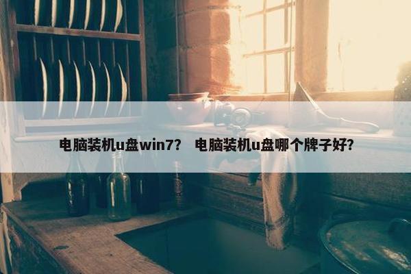 电脑装机u盘win7？ 电脑装机u盘哪个牌子好？