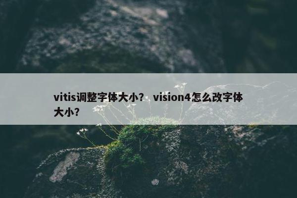 vitis调整字体大小？ vision4怎么改字体大小？