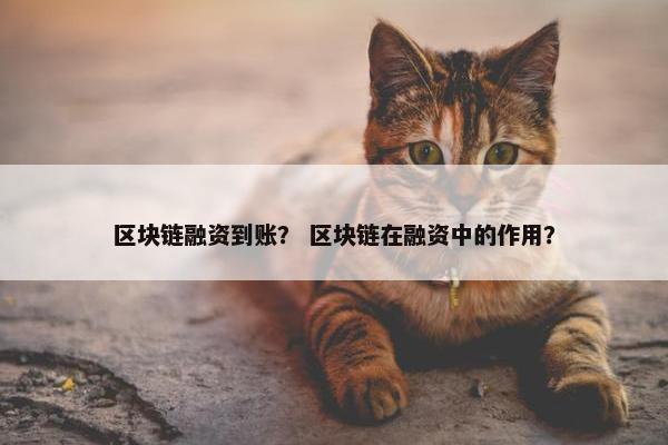 区块链融资到账？ 区块链在融资中的作用？