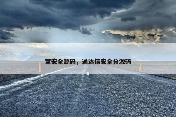 掌安全源码，通达信安全分源码